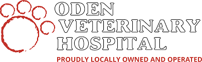 Robert taylor has the knowledge and expertise you want and need when caring for your pets. Veterinarian In Lubbock Tx Oden Veterinary Hospital