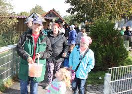 Gemeinde werdum haustierpark werdum werdumer blatt english. Werdumer Blatt Vereine