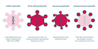 Check spelling or type a new query. Covid 19 Impfungen Die Verschiedenen Impfstoffarten Erklart Global