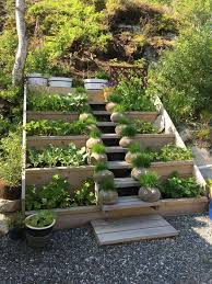 Use Premade Stair Riser And Boards For Side Yard Infill Steps W Gravel Jardin De Vegetales Huerta En Macetas Macetas De Jardin De Madera