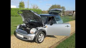 Image result for Pure Silver 2006 Mini
