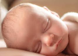 Dawn Wellman Photography