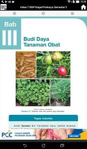 Demikian juga kelas 7 semester 2 jika mengambil pengolahan, maka pada kelas 8 semester 2 dan kelas 9 semester 2 harus mengambil pengolahan agar peserta didik menguasai ketuntasan kompetensi secara utuh sesuai kurikulum. Kelas 7 Smp Mts Mapel Seni Prakarya Semester 2 For Android Apk Download