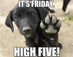 Animal quotes and images for tuesday. Funny Work Quotes With Animals Friday Happy Friday Quotes Friday Dog Dogtrainingobedienceschool Com