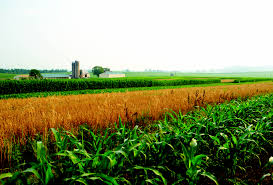 Crop Rotations Rodale Institute
