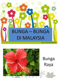 Mit 4/5 von reisenden bewertet. Edu3105 Bunga Bunga Di Malaysia