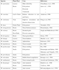 Image result for Millettia lasiantha