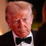 Massachusetts Election Live Results 2024