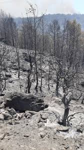 Fakat rüzgârın etkisiyle dalaman'ı, ortaca'yı, sarıgerme'yi, dalyan'ı hatta köyceğiz'i dahi etkiliyor. Suieajif94dicm