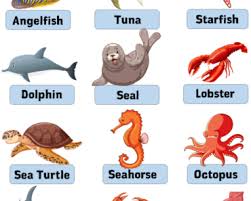 Discover the 12 weirdest animal names, from the screaming hairy armadillo to the sarcastic fringehead. Animal Name Starting With N Detailed Animals List English Grammar Here