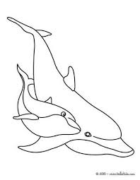 The vast and beautiful ocean has come to capture the imagination of kids all around the world. Color This Dolphins Coloring Page Nice Coloring Sheet Of Sea World More Content On Hellokids Co Dolphin Coloring Page Dolphin Coloring Pages Dolphin Wall Art