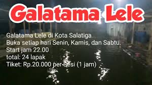 Galatama Lele Di Salatiga Jawa Tengah Youtube