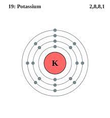 See The Electron Configuration Diagrams For Atoms Of The Elements Potassium Atom Electron Configuration Atom Diagram
