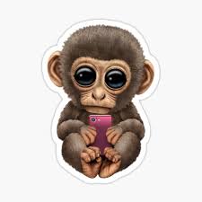 In the video, the mother monkey forces the reluctant baby monkey to take a bath by dipping it in a pool and splashing water over it. Baby Monkey Stickers Redbubble
