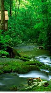 If you're looking for the best 4k nature wallpapers then wallpapertag is the place to be. 4k Wallpaper Nature For Phone Ideas Best Nature Wallpapers Beautiful Nature Wallpaper Hd Android Wallpaper Hd Nature