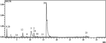 Image result for Melasma calycinum