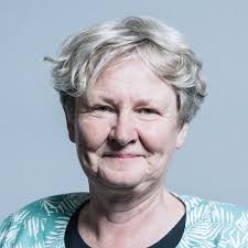 Helen Goodman, Bishop Auckland Constituency