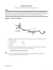 .function pogil answer key function answer key neuron structure pogil answers 1 remember that typically signaling in neurons moves from the dendrite end along the axon to the synaptic terminal end 2 pogil activities for. Read Online Neuron Function Pogil Answers Free E Book Online