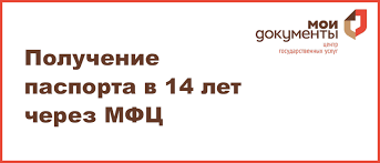 Poluchenie Pasporta V 14 Let Cherez Mfc Instrukciya 2021