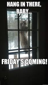 Hang In There Baby Friday S Coming Misc Quickmeme