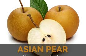 Asian pears go by a number of misleading names, including the apple pear, which leads eaters to mistakenly believe the fruits are a cross between apples and pears; Asian Pear Facts Health Benefits And Nutritional Value