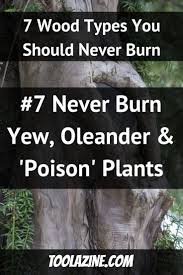 Pin On Homesteading Ideas Self Sufficient