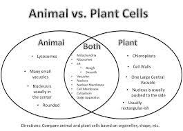 Maybe you would like to learn more about one of these? Cell Notes Running Brushy 7th Grade Science