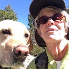 A happy dog in the snow with no log