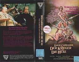 Really only good for watching on a 640x480 size screen(or less); Krieger Und Die Hexe Der The Warrior And The Sorceress Action Vhs Videokassetten Ohne Indizierte Film Retro Shop De