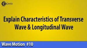 A sound wave is an example of a longitudinal wave. Explain Characteristics Of Transverse Wave Longitudinal Wave Wave Motion Ekeeda Com Youtube