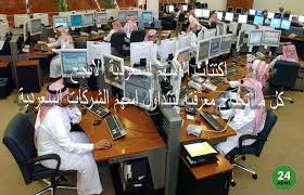 اكتتاب الاسهم السعودية الانجح كل ما تحتاج معرفته لتتداول اسهم الشركات السعودية Roberta Tony