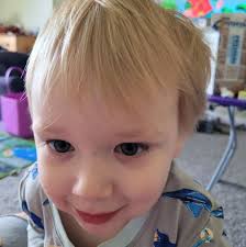 What kind of mushroom is this?