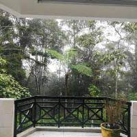 Maybe you would like to learn more about one of these? 10 Best Bukit Fraser Hotels Malaysia From 51