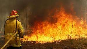 Bergantung pada jenis vegetasi yang ada, api liar juga dapat diklasifikasikan lebih spesifik sebagai kebakaran semak. Ratusan Rumah Hancur Akibat Kebakaran Hutan Di Australia