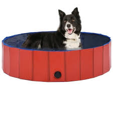 Piscine Pour Chien