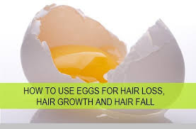 how to use eggs for hair growth hair