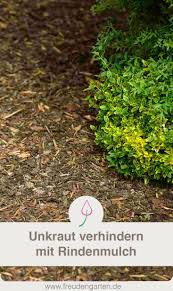 Unkraut Verhindern Mit Rindenmulch Darauf Musst Du Achten Garten Unkraut Unkraut Garten Anpflanzen Unkraut Im Garten