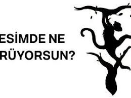 Evinizdeki Malzemelerle Yuz Tuylerinizden Kurtulun 2020 Dusuk Gozler Cilt Bakimi Dogal Guzellik Ipuclari