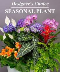 With cute valentine's day gift ideas for him from 1800flowers and our family of brands, there's a little (or big) something for all your favorite men. How To Get People To Like Birthday Flowers For Guys Birthday Flowers For Guys Https Ift Tt 2hvsevt Plants Birthday Flower Delivery Birthday Flowers