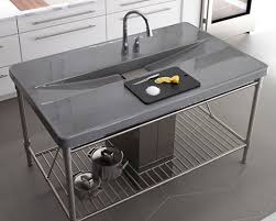 integrated sink from kohler new iron