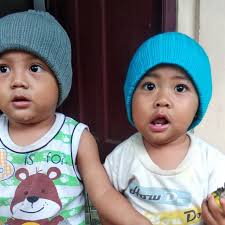 Jual Novel import sheltie THR Shetland pony by Peter Clover