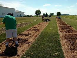 Stay on hwy 2, and turn north on to aune road. 10 Things To Think About Before Establishing Pollinator Habitat Msu Extension