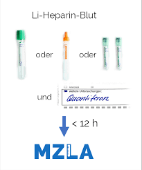 Tik des gestationsdiabetes (gdm) hin Lithium Heparin Rohrchen Analysen Mzla De