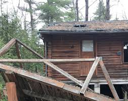 Most of our homes are built with new growth. Abandoned Log Cabin