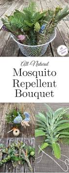 Sage Sticks An All Natural Diy Mosquito Repellent Allmomdoes