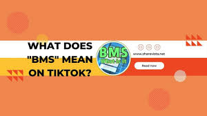 Bms Meaning: Understanding The True Definition Of The Acronym - English  Study Online