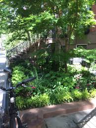 Shop hanging terrariums, nest planters, and bud vases at uo. We Re In A Tight Spot Landscape Design For Small Urban Spaces Ecological Landscape Alliance