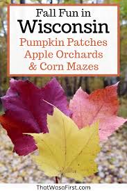 fall fun in northern wisconsin your guide to pumpkin patches apple orchards and corn mazes best pumpkin patches apple orchard wisconsin pinterest