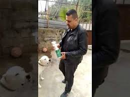 Hayvanlarda Bit Pire Kene Sorunu Ve Cozumu Akin Atar Youtube