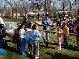 Any tree which qualifies for special consideration for preservation due to its size, type, condition, location or historical significance and which also meets the minimum size criteria listed below. Urban And Community Forestry Grants Nys Dept Of Environmental Conservation